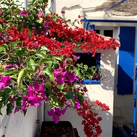 En Bord De A Malmousque Villa *